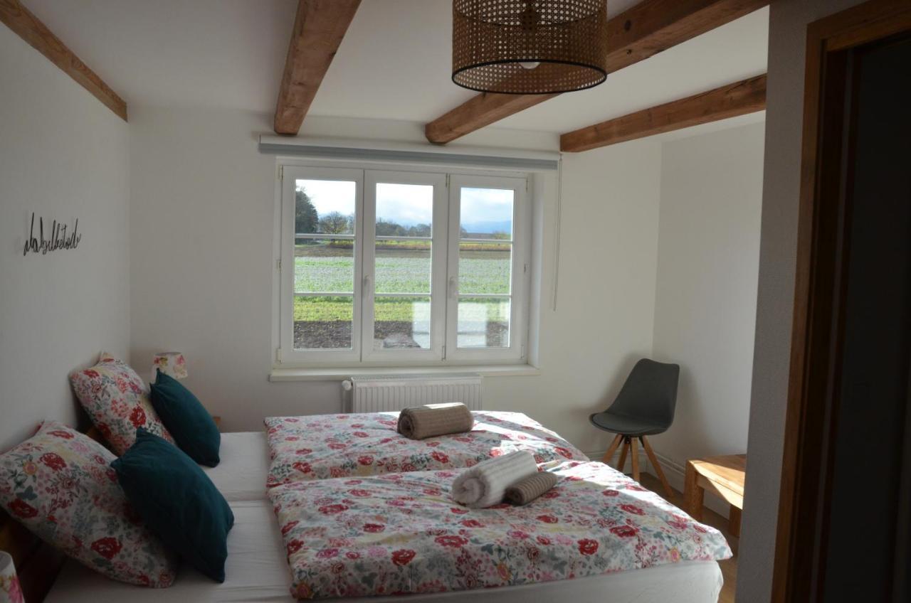 Domaine Des 4Roses -Spa Et Serenite Villa Furdenheim Dış mekan fotoğraf
