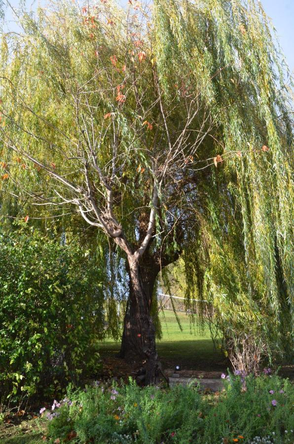 Domaine Des 4Roses -Spa Et Serenite Villa Furdenheim Dış mekan fotoğraf