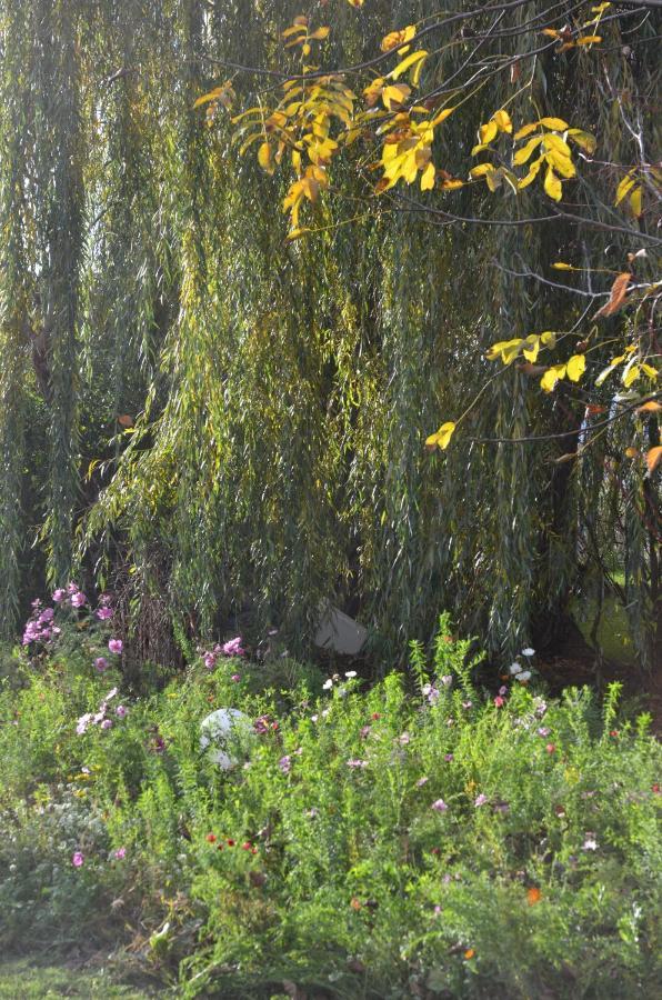 Domaine Des 4Roses -Spa Et Serenite Villa Furdenheim Dış mekan fotoğraf